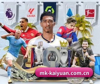 mk-kaiyuan.com.cn APP